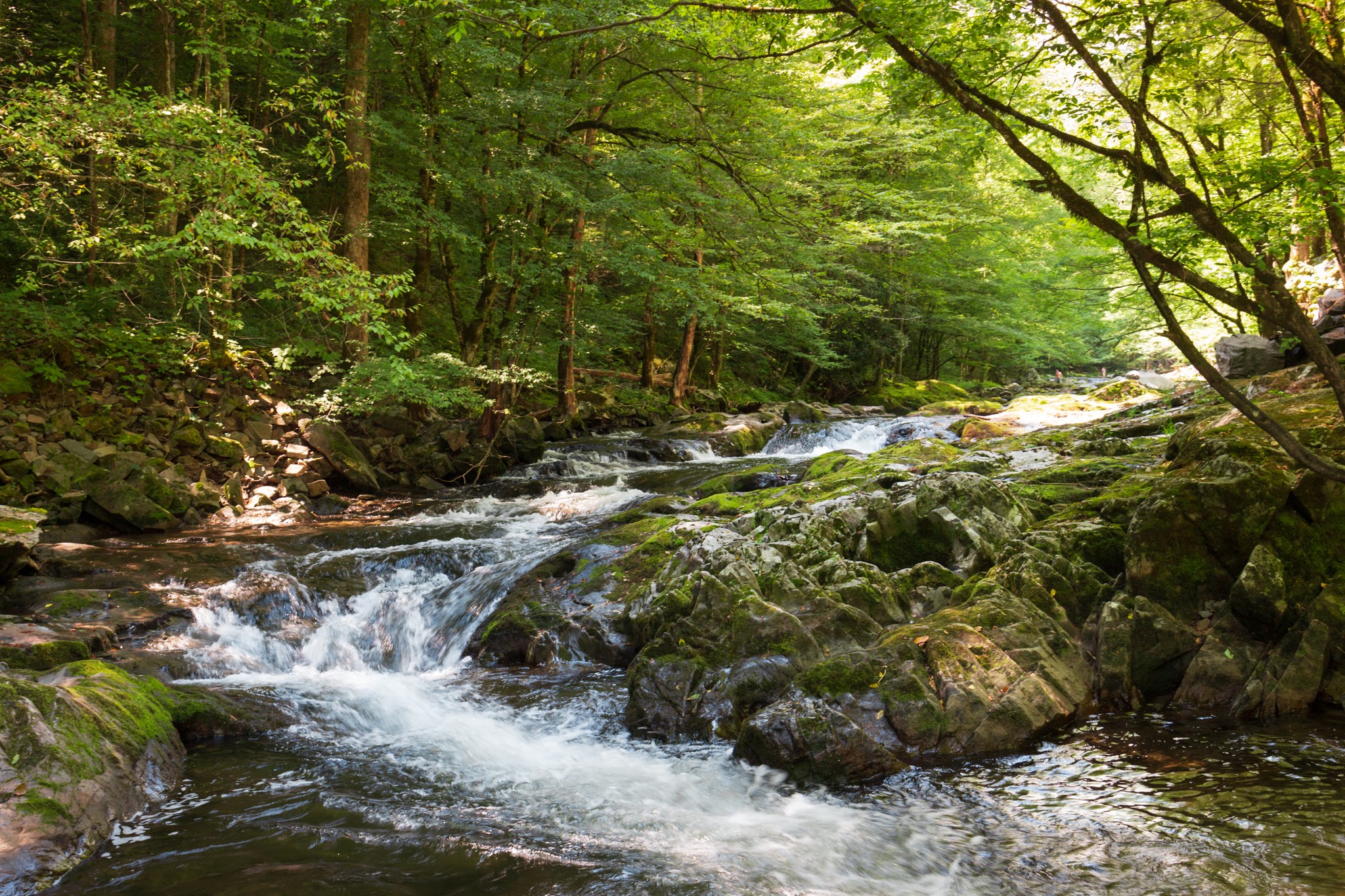 Smoky Mountains Creek, Feature Image