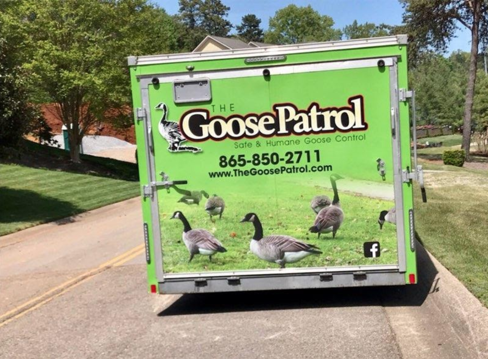 The Goose Patrol