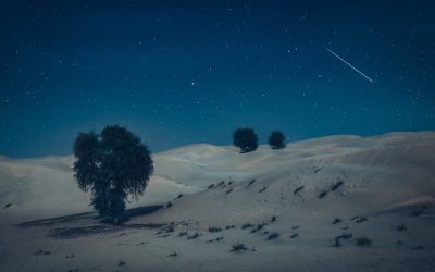 December 25: The Weary World Rejoices